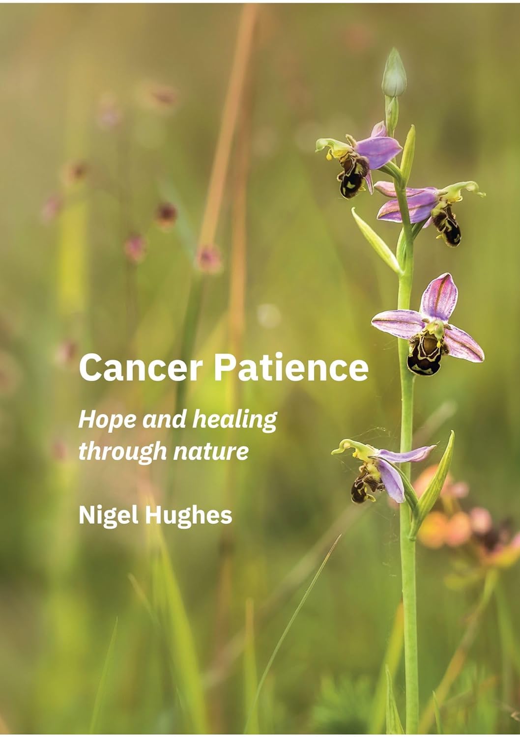 Cancer Patience