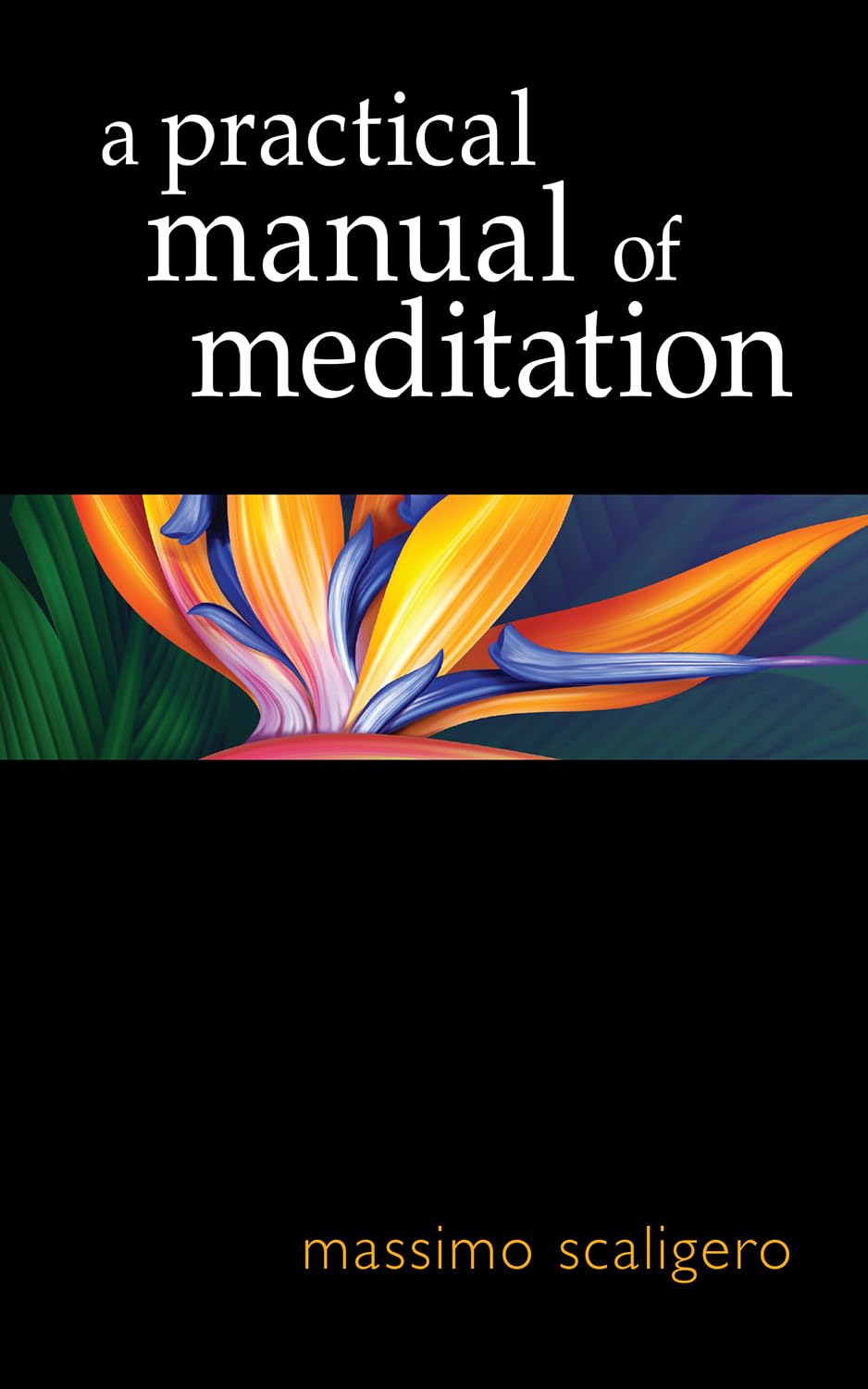A Practical Manual of Meditation