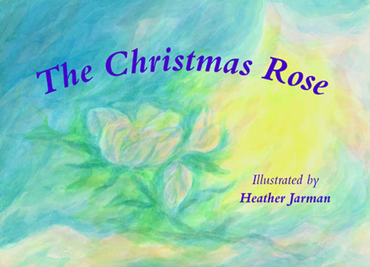 The Christmas Rose