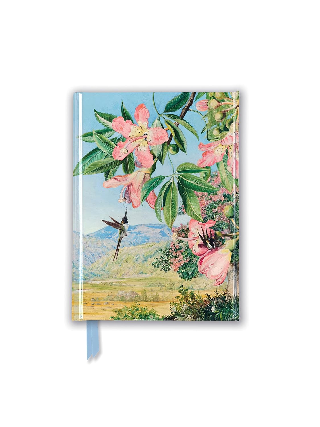 Kew Gardens: Marianne North: Foliage and Flowers Notebook