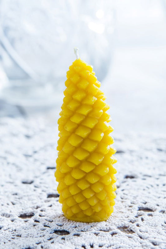 Pine Cone Candle