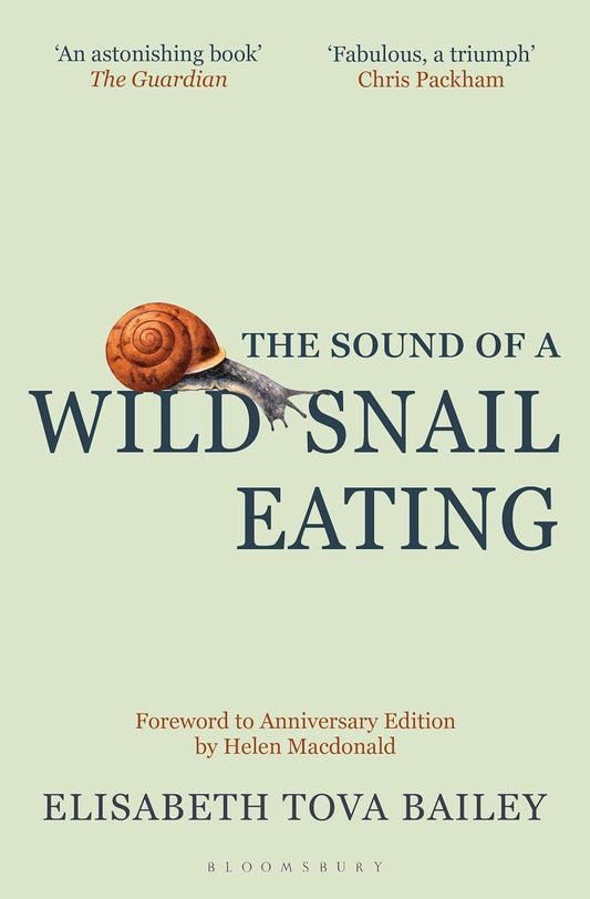 The Sound Of A Wild Snail Eating