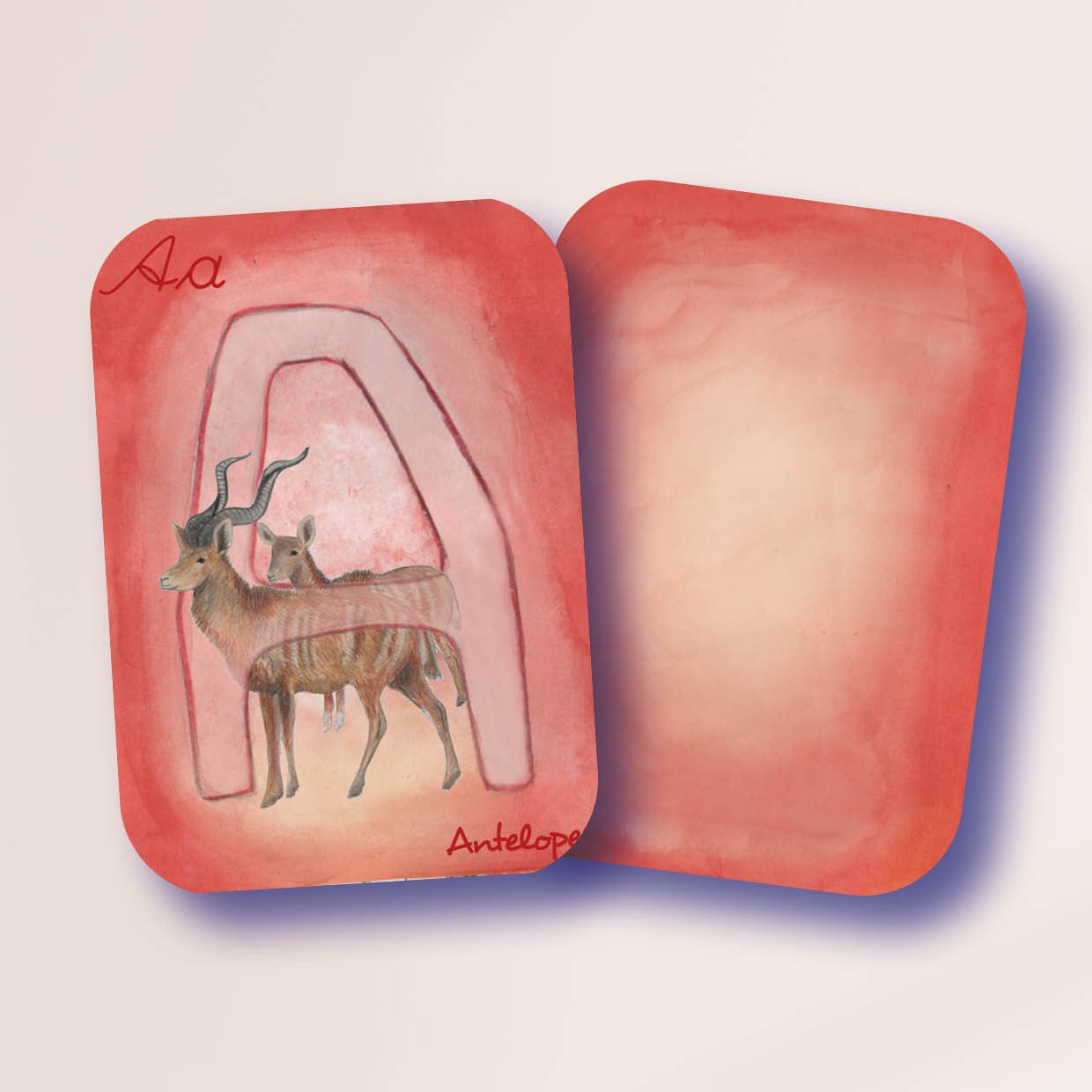 Add to wishlist Wilded International Alphabet Cards